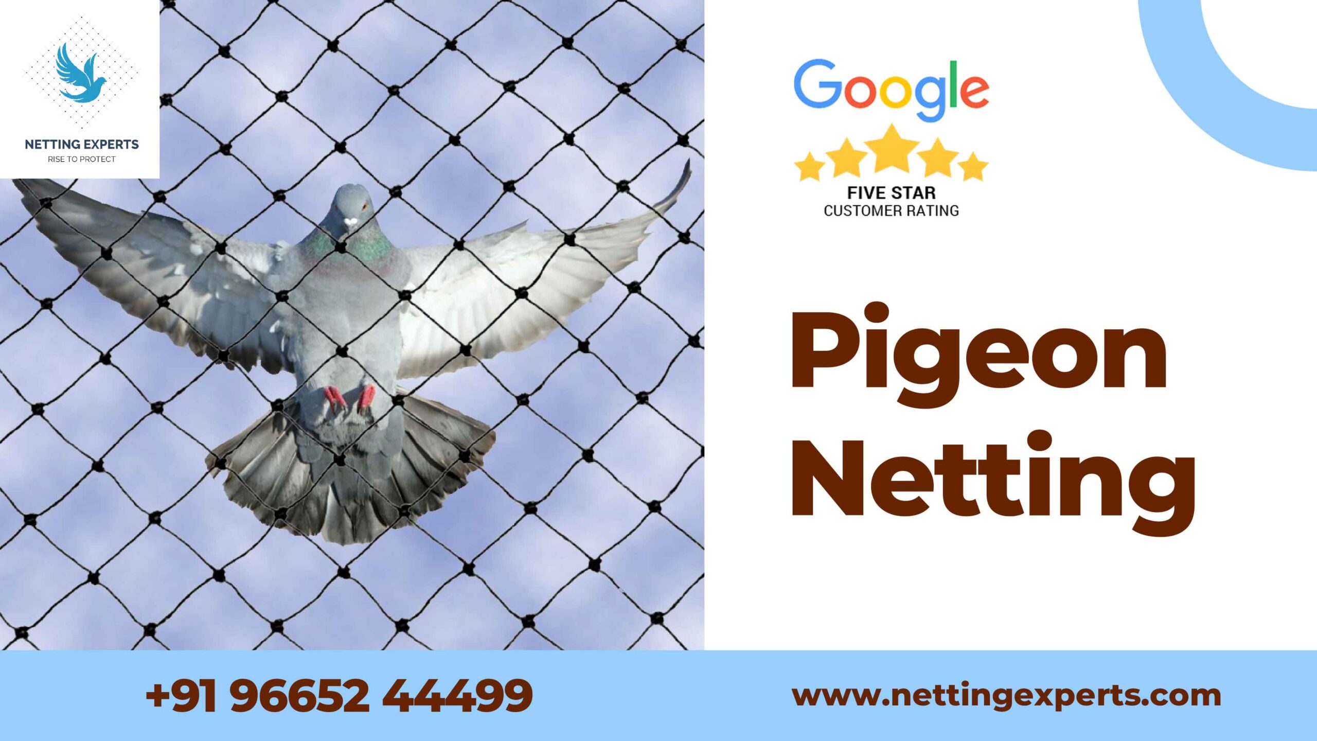 Pigeon Netting